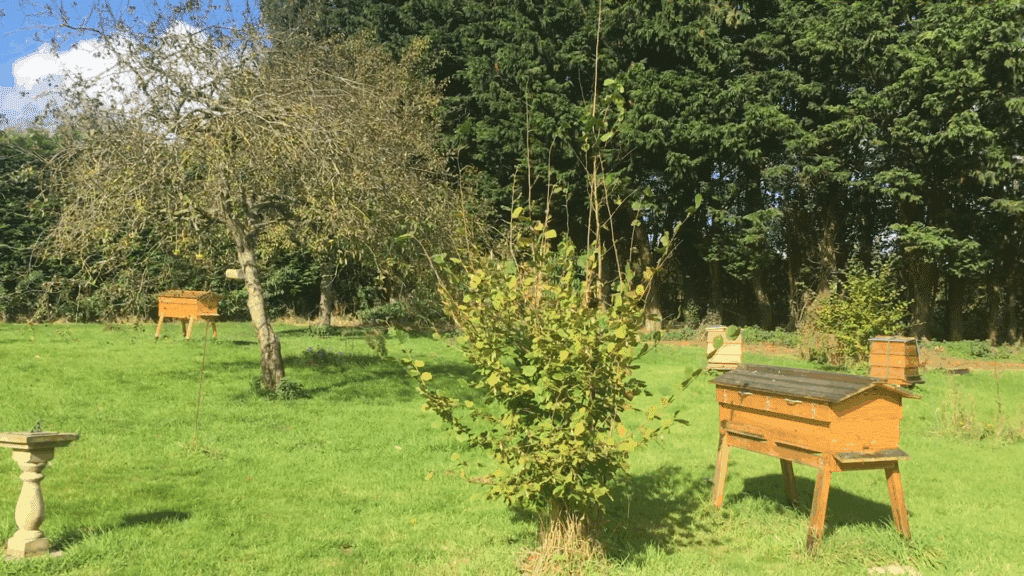Our honey bees in the heart of the Lincolnshire wolds AONB