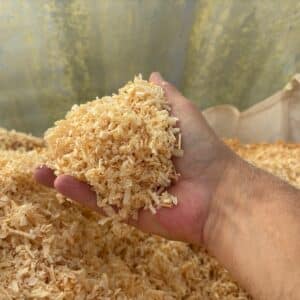 Wood Shavings